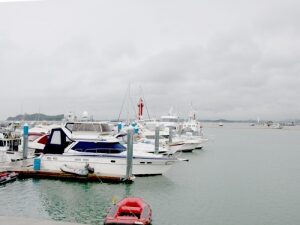 2011.05 춘계야유회